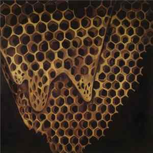 Telefon Tel Aviv - Map Of What Is Effortless FLAC