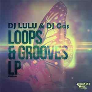 DJ Lulu & DJ Gas - Loops & Grooves LP FLAC