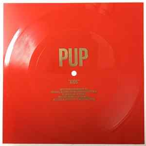 Pup - Kids FLAC