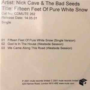 Nick Cave & The Bad Seeds - Fifteen Feet Of Pure White Snow FLAC