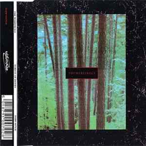 The Werefrogs - Forest Of Doves FLAC