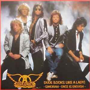 Aerosmith - Dude (Looks Like A Lady) FLAC
