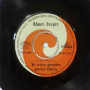 Ahmet Sezgin - Şu Uzun Gecenin Gecesi Olsam / Çamlar Altına FLAC
