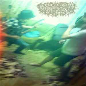 Decomposition Guts - Новая порция дрочилова для ваших ушек FLAC