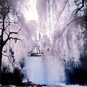 phonofrantic - Liberate Your Ethereal Dreamscape FLAC