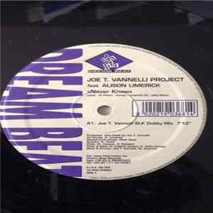 Joe T. Vannelli Project Feat. Alison Limerick - Never Knew FLAC