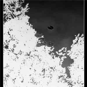 Soft Kill - Circle Of Trees FLAC