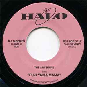 Judy Thomas / The Antennas - Golden Records / Fuji Yama Mama FLAC