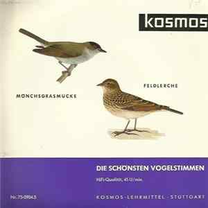 Dr. E. Tretzel - Die Schönsten Vogelstimmen: Mönchsgrasmücke, Feldlerche FLAC