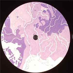 Ed Davenport - Inland FLAC