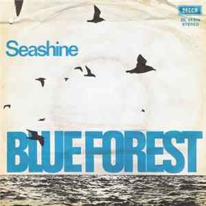 Blue Forest - Have You Ever Been There Before / Seashine FLAC