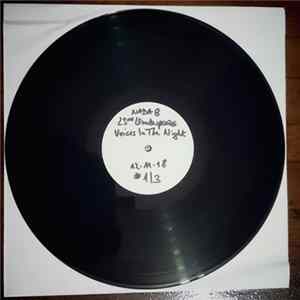 23rd Underpass - Voices In The Night FLAC