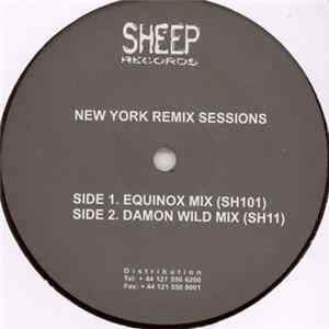 Raoul Delgardo / David Paxton - New York Remix Sessions FLAC