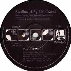 David & David - Swallowed By The Cracks FLAC