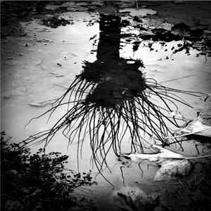 Lucas Alvarado - One way to describe the world FLAC