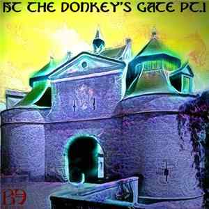 Bearded Electronics - At the donkey's gate pt.1 FLAC