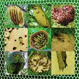 Ghost Melter - Queendoms FLAC