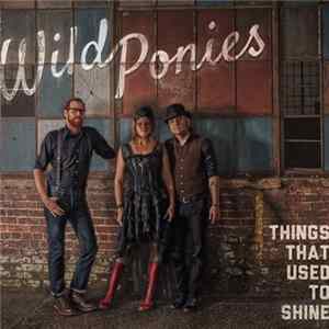 Wild Ponies - Things That Used To Shine FLAC