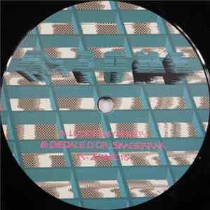 R-Zone - R-Zone 16 FLAC