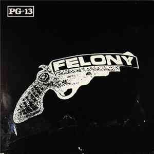 Felony - The Vigilante FLAC