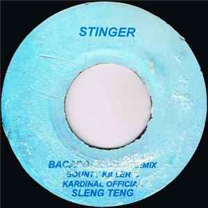 Bounty Killer & Kardinal Official / Missi Elliot - Bacardi Slang Remix / Get Your Freak On Remix FLAC