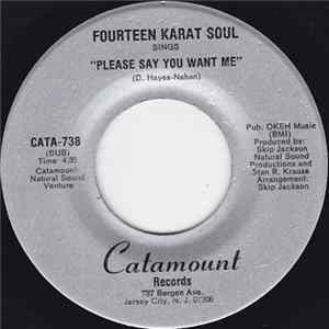 Fourteen Karat Soul - Please Say You Want Me / The Trouble With Love FLAC