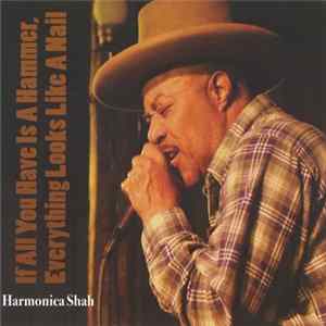 Harmonica Shah - If All You Have Is A Hammer, Everything Looks Like A Nail FLAC