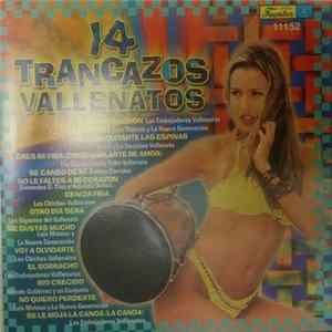 Various - 14 Trancazos Vallenatos FLAC