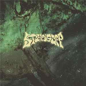 Steinsopp - Oort Cloud FLAC