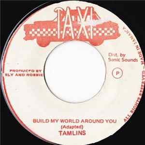 Tamlins - Build My World Around You FLAC