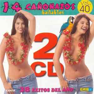 Various - 14 Cañonazos Bailables Vol. 40 FLAC