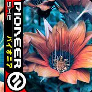She - Pioneer FLAC