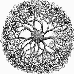 James Blackshaw - White Goddess FLAC