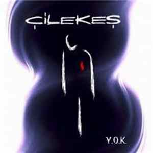 Çilekeş - Y.O.K FLAC