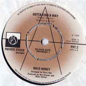 Wild Honey - Gotta Find A Way FLAC