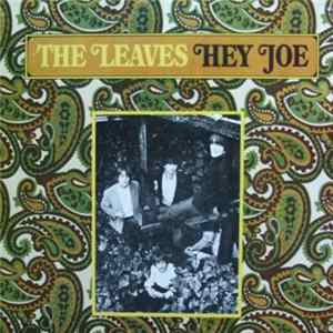 The Leaves - Hey Joe FLAC