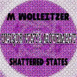 M Wolleitzer - Shattered States FLAC