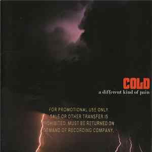 Cold - A Different Kind Of Pain FLAC