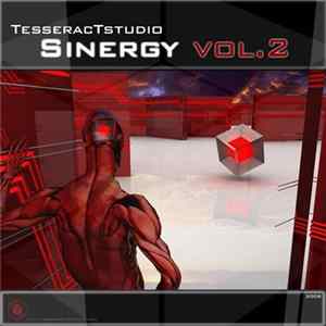 Various - Sinergy Vol.2 FLAC