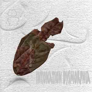 Various - IFAR Musique Concrète Intonation Dysmorphia Compilation FLAC