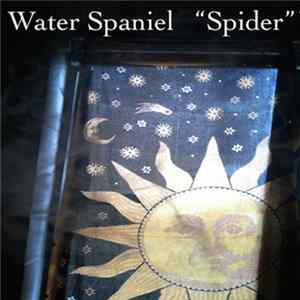 Water Spaniel - WSHW FLAC