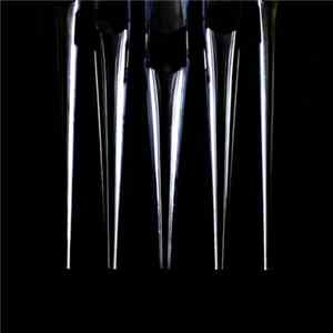 Tomas Challenger / Kit Downes - Wedding Music FLAC