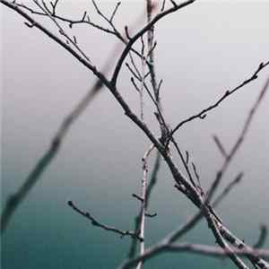 A Himitsu - Isolated Mind FLAC
