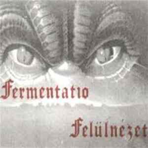 Fermentatio - Felülnézet FLAC