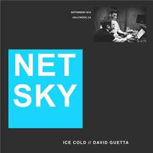 Netsky & David Guetta - Ice Cold FLAC
