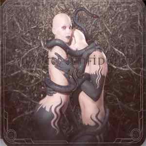 In Strict Confidence - Exile Paradise FLAC