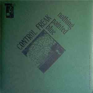 Nothing Painted Blue - Control Freak FLAC