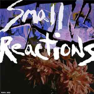 Small Reactions - RXN_002 FLAC