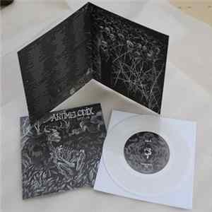 Antimelodix - Hellfuck 2011 FLAC