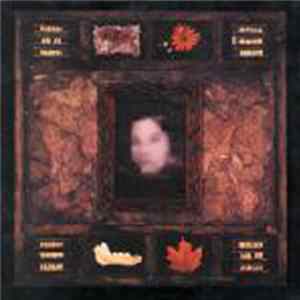 Dazzling Killmen - Face Of Collapse FLAC